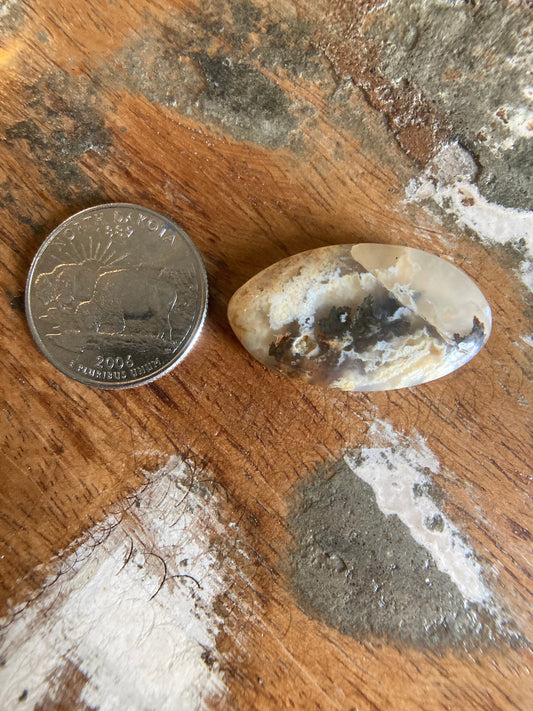 Graveyard Plume Agate Cabochon