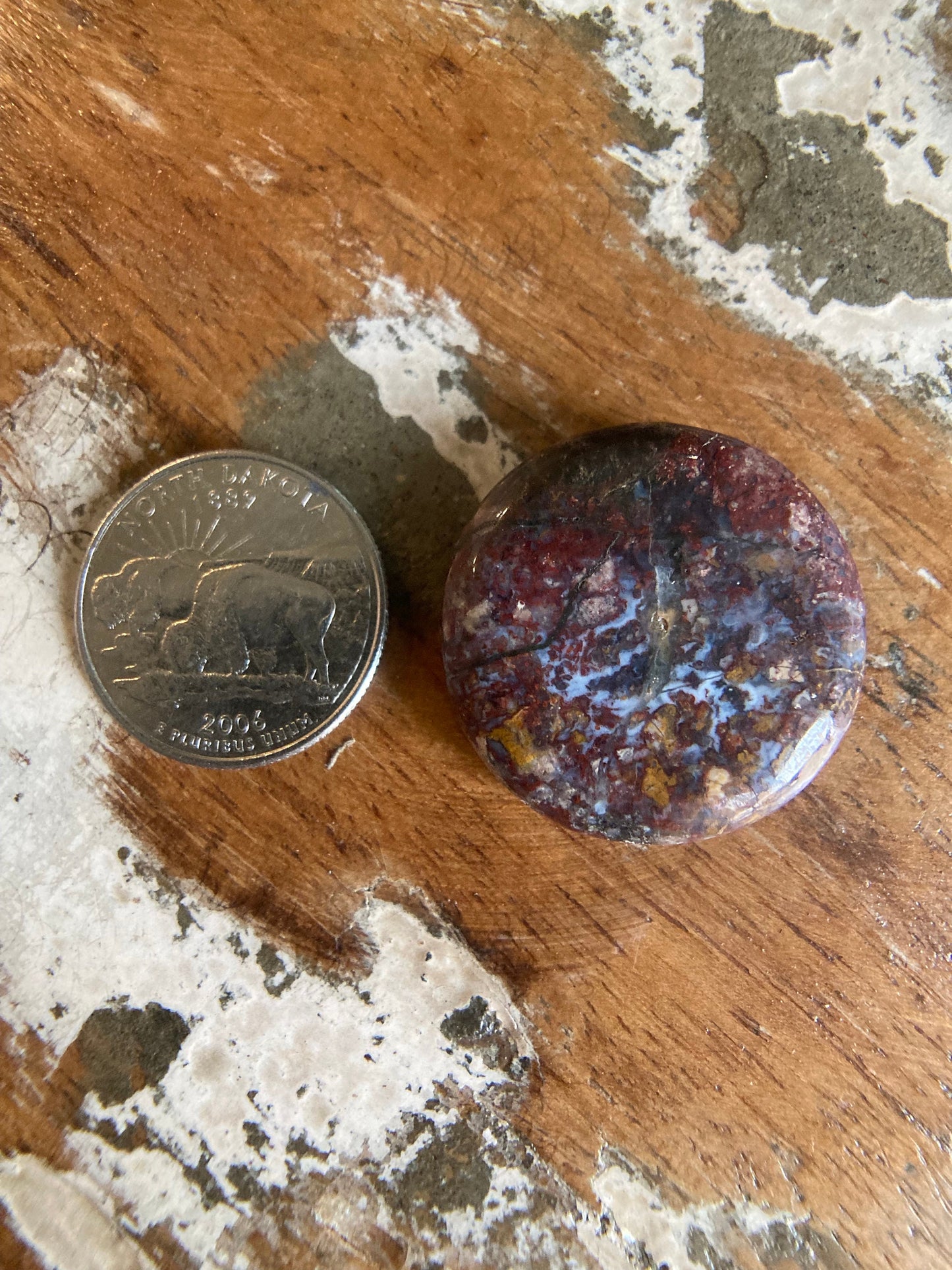 Moss Agate Circle Cabochon