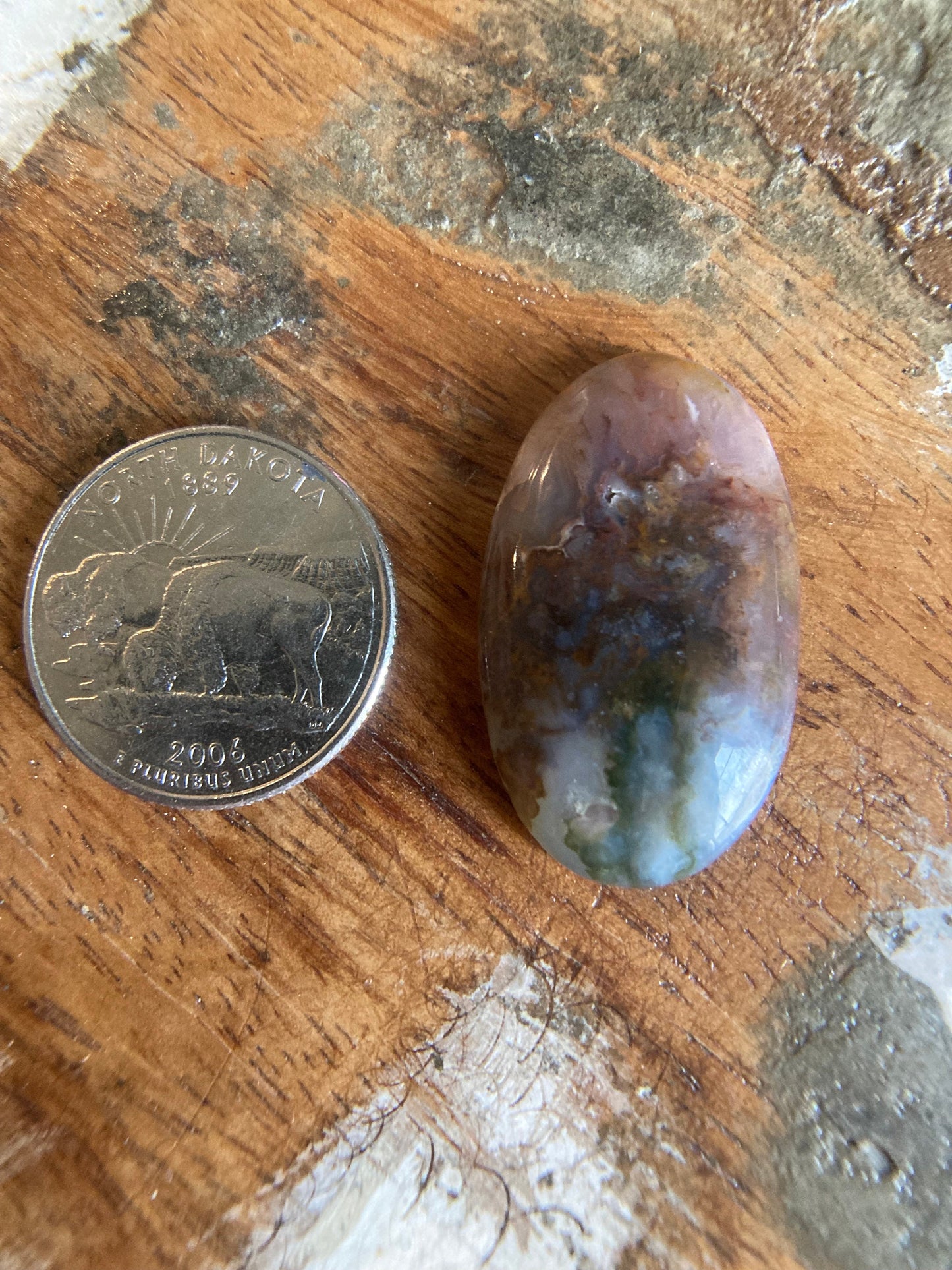 Texas Moss Agate Cabochon