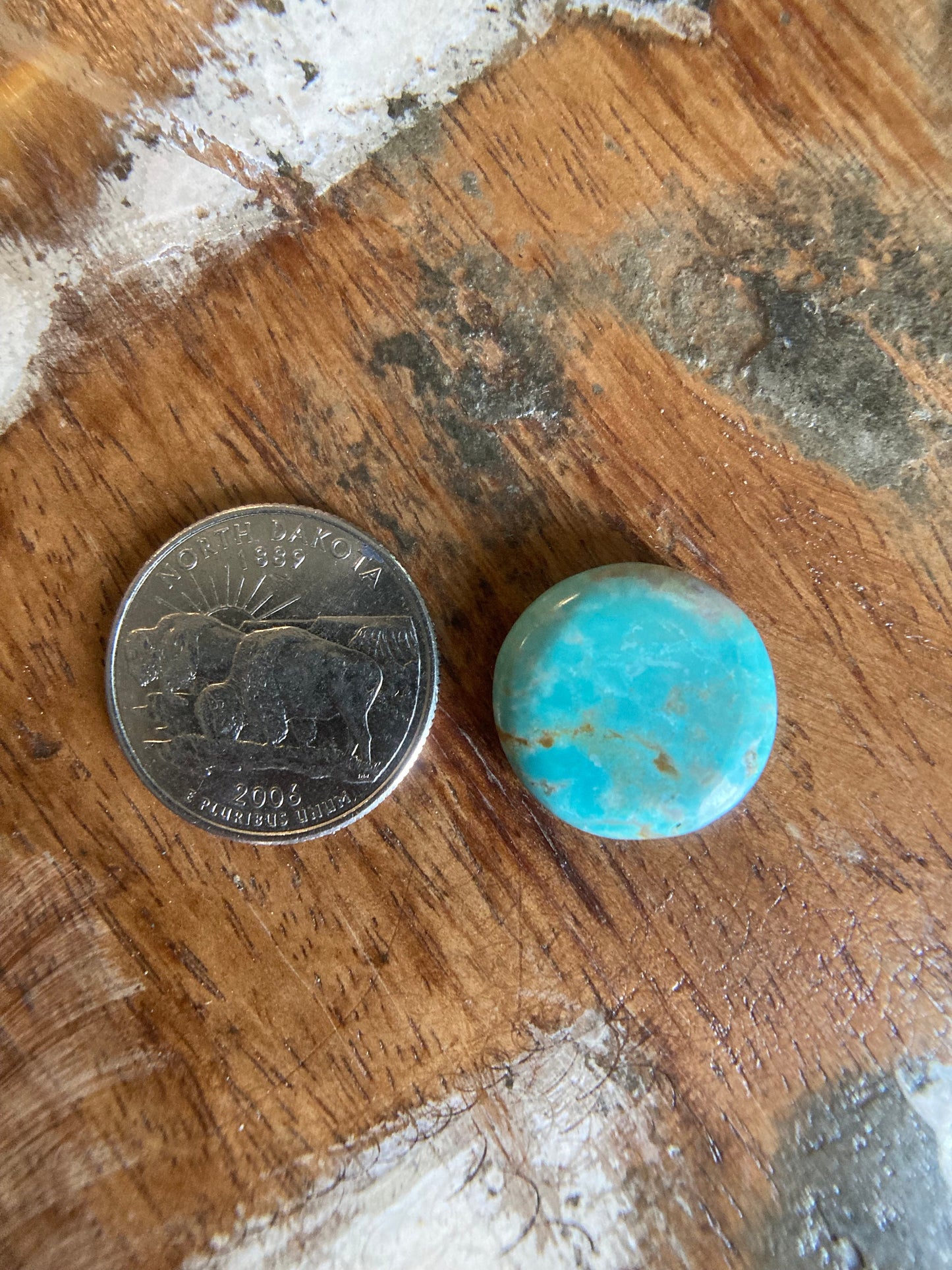 Kingman Turquoise Circle Cabochon