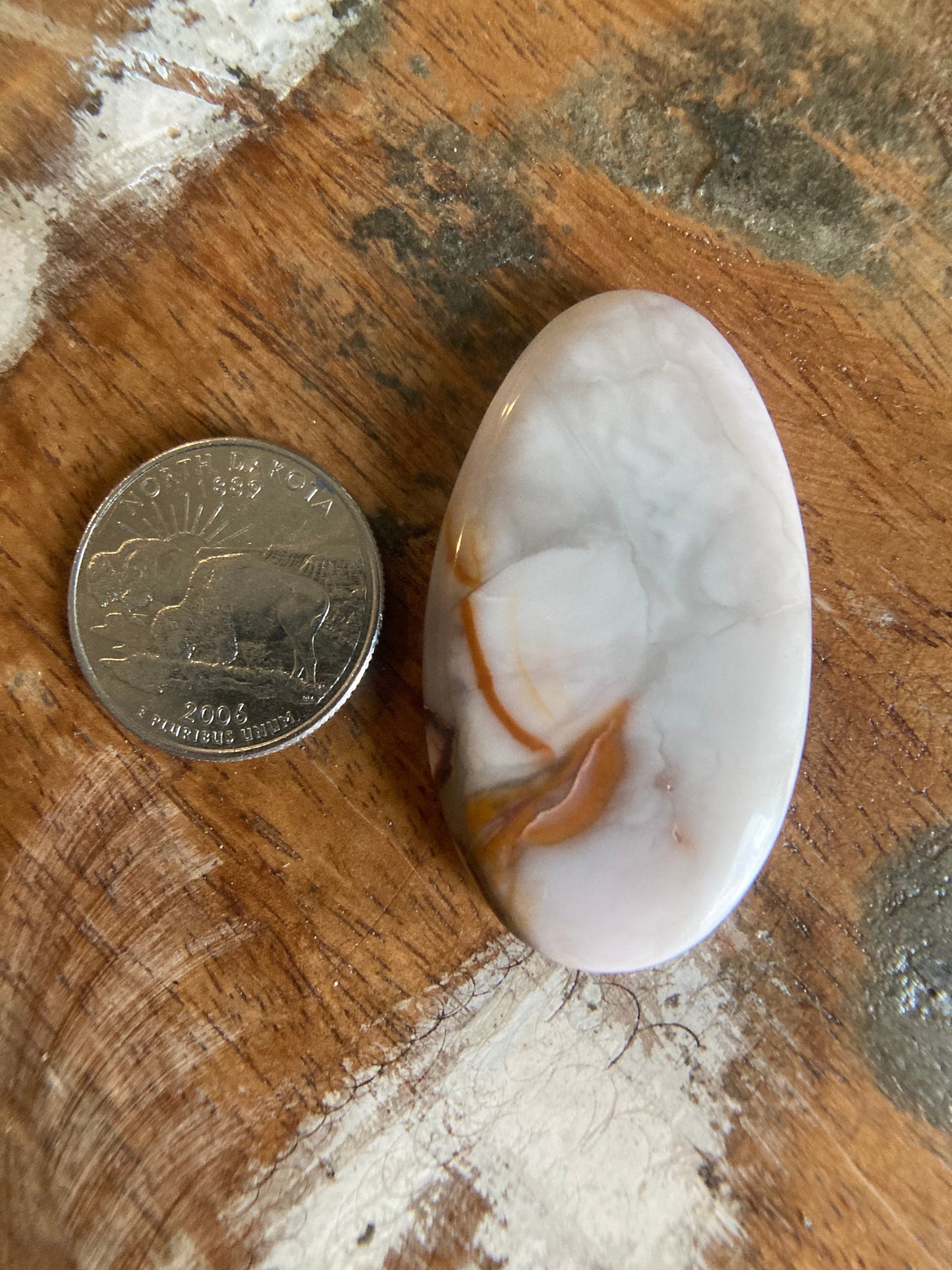 Willow Creek Jasper Cabochon