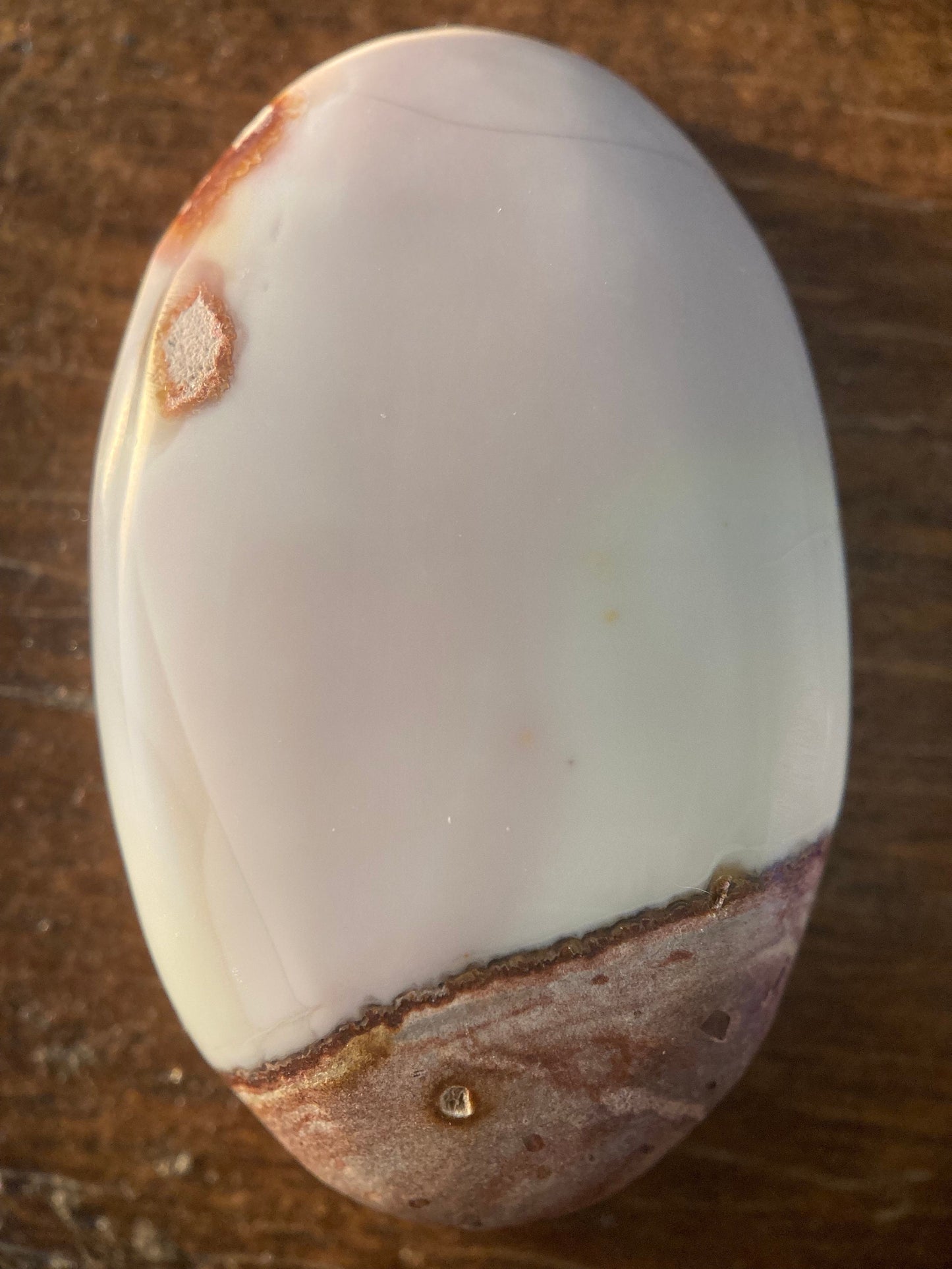 Willow Creek Jasper Cabochon