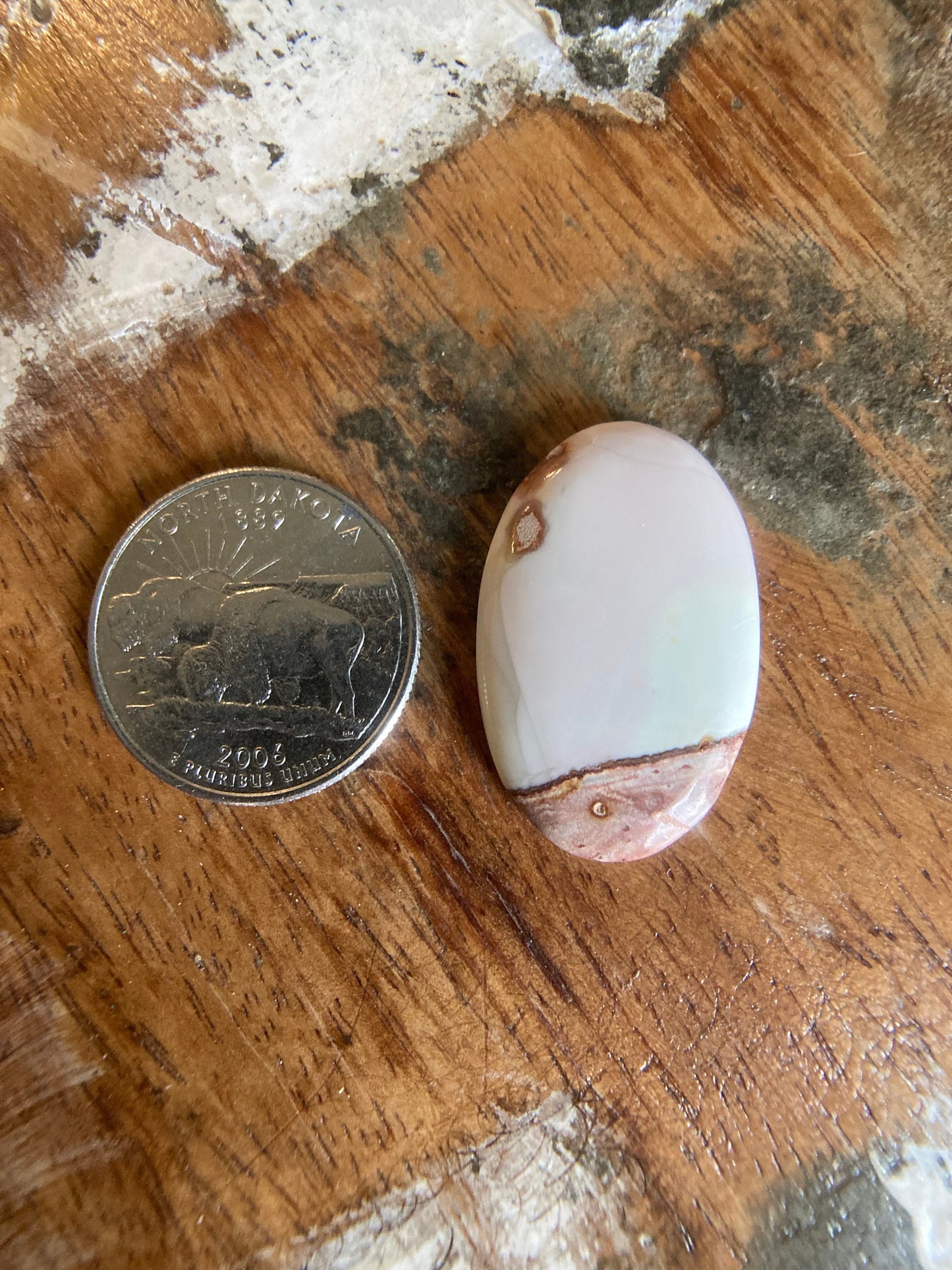 Willow Creek Jasper Cabochon