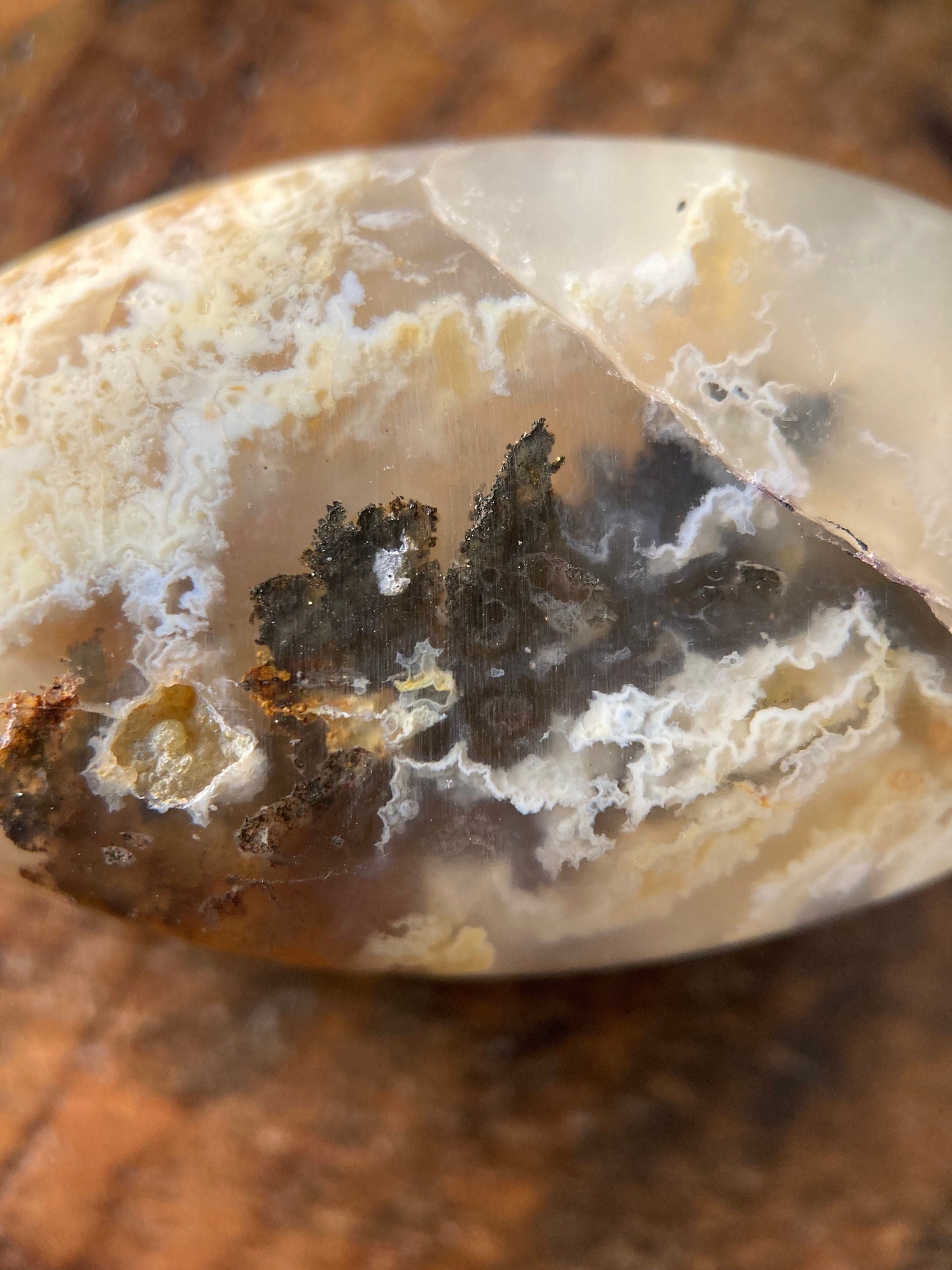 Graveyard Plume Agate Cabochon