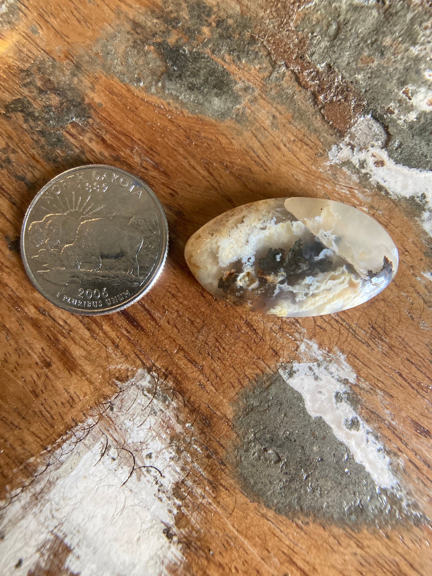 Graveyard Plume Agate Cabochon