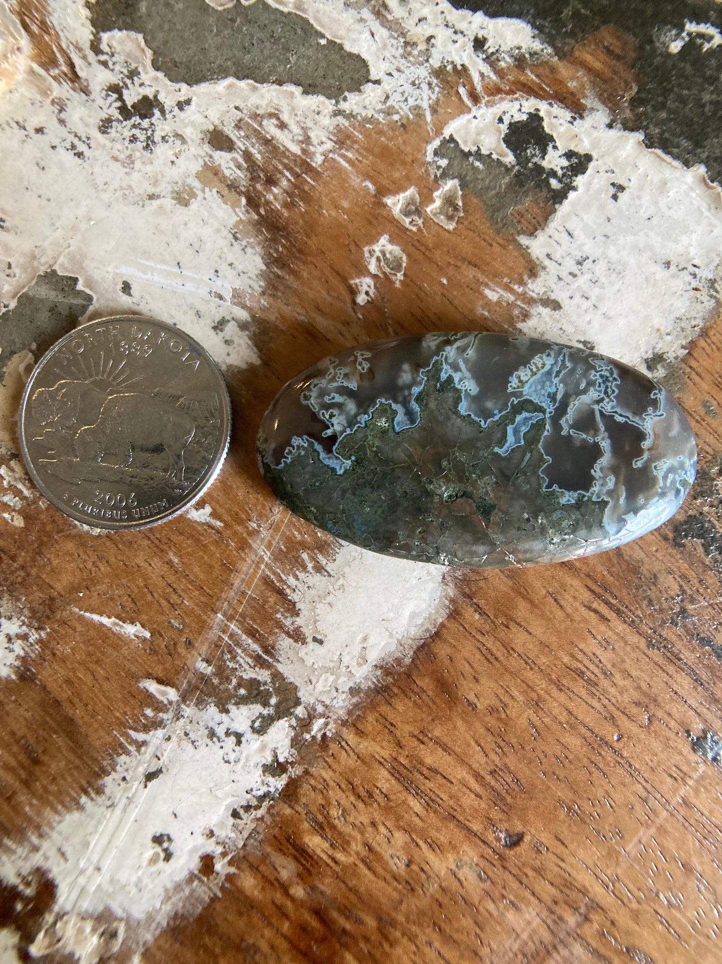 Oregon Moss Agate Cabochon